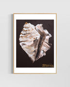 Conch Shell Print
