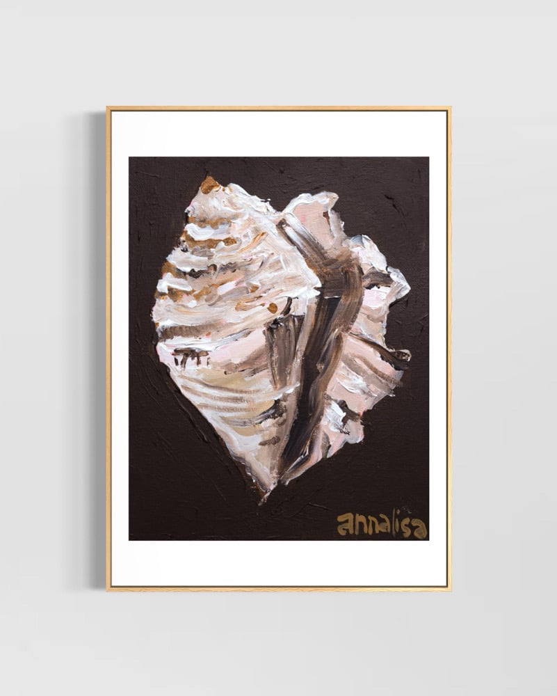 Conch Shell Print