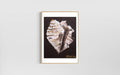 Conch Shell Print