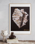 Conch Shell Print