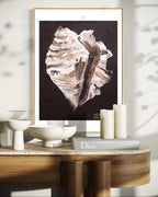 Conch Shell Print