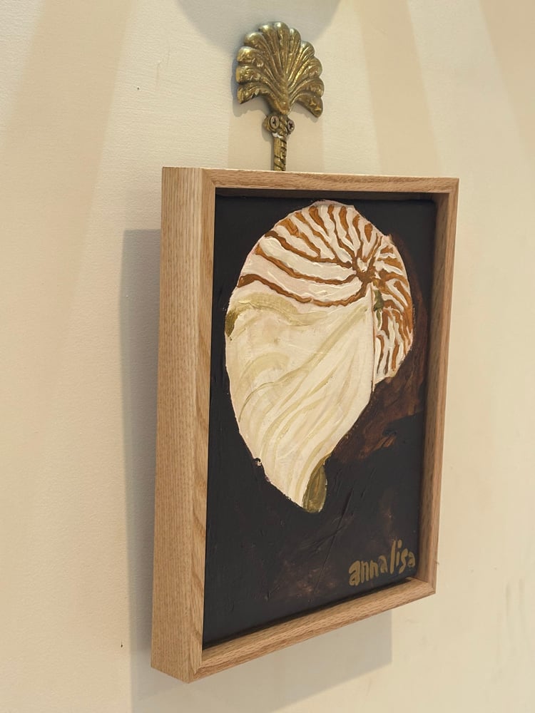 Island Shell Original