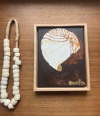 Island Shell Original