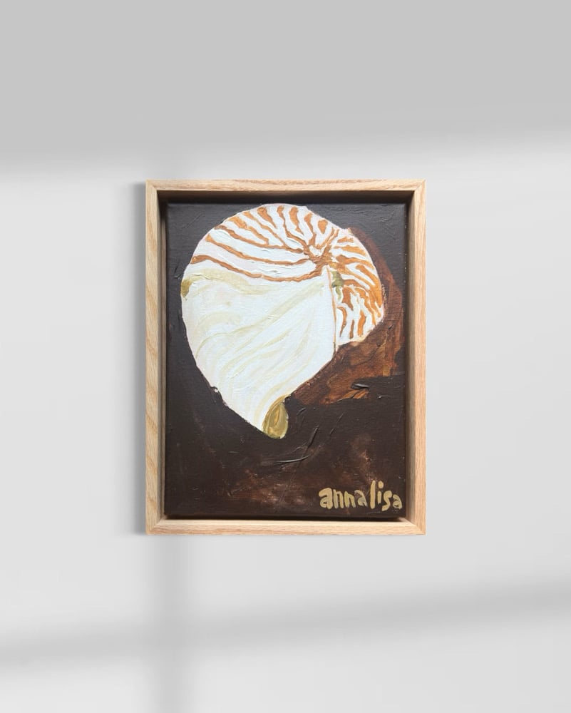 Island Shell Original