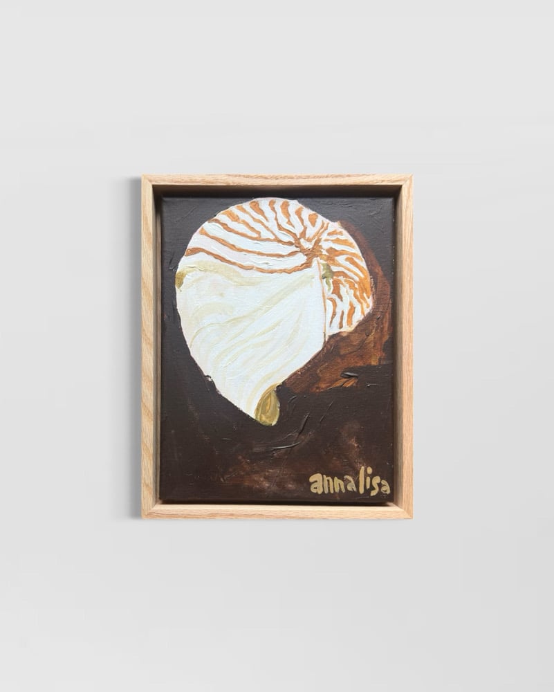 Island Shell Original