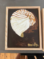 Island Shell Original