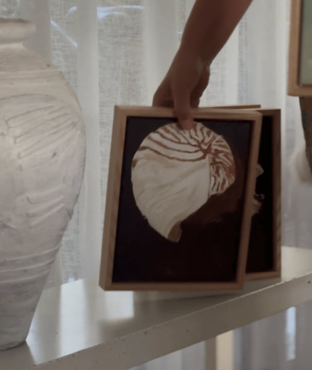 Island Shell Original