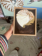 Island Shell Original