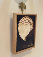 Island Shell Print
