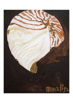 Island Shell Print