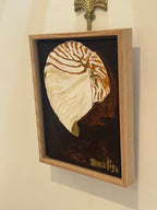 Island Shell Print