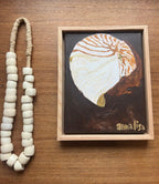 Island Shell Print